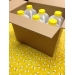 Packing Carton - Fits 6- 5lb or 3 lb Jugs per Box